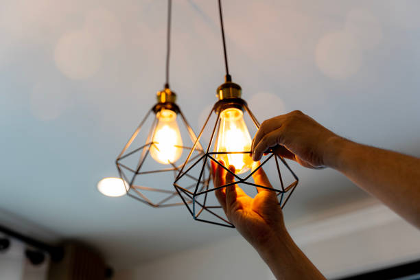 Best Electric Panel Repair  in East Williston, NY